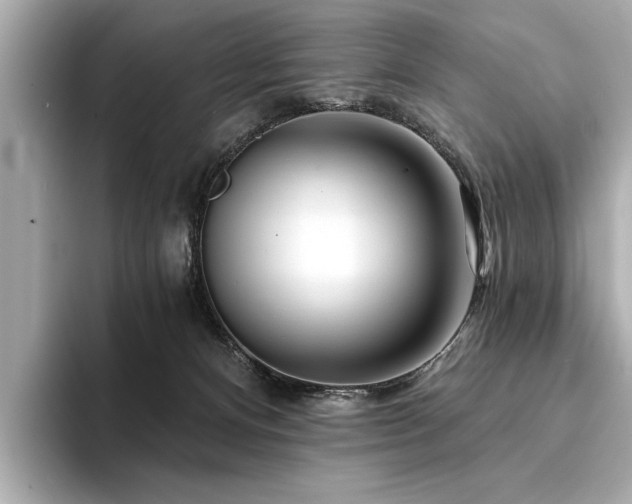 X0000094380128200711021233
