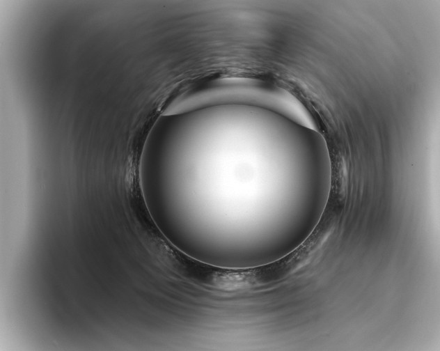 X0000094380129200711021233