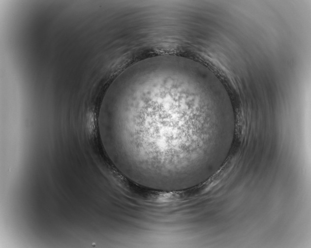X0000094380130200711021233