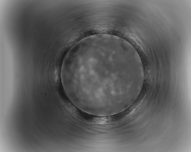 X0000094380131200711021233