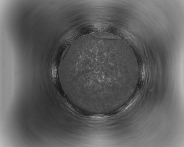 X0000094380137200711021233