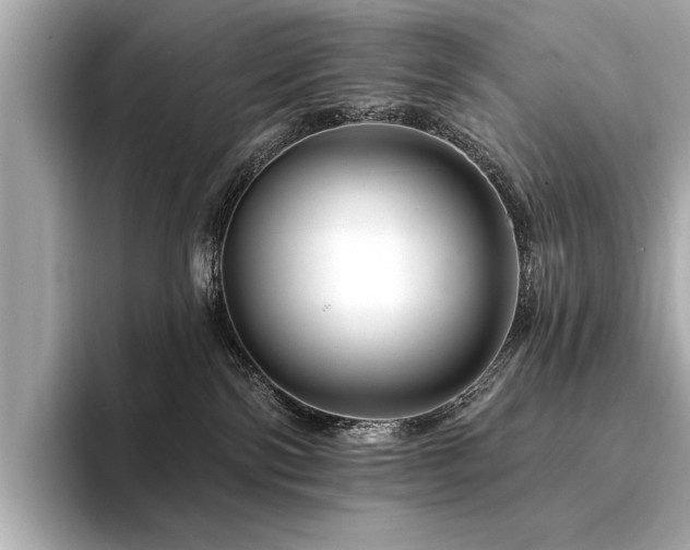 X0000094380138200711021233