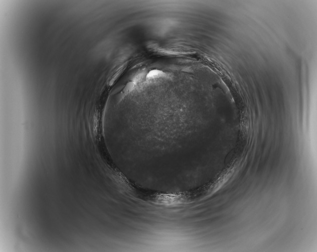 X0000094380139200711021233