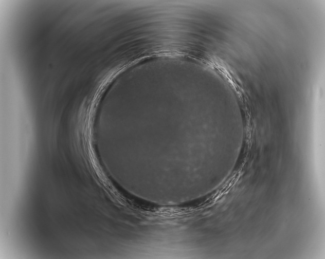 X0000094380145200711021232