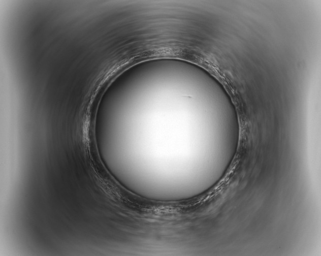 X0000094380146200711021232