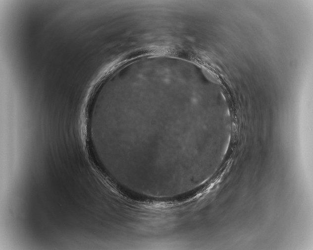 X0000094380149200711021232