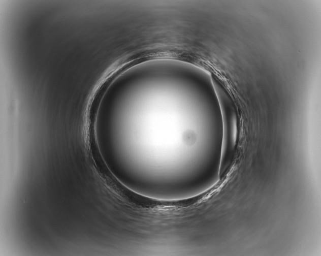 X0000094380150200711021232