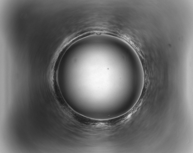 X0000094380151200711021232