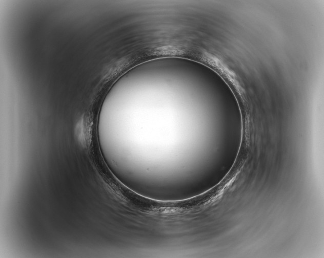X0000094380153200711021232