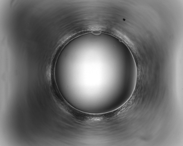 X0000094380155200711021232