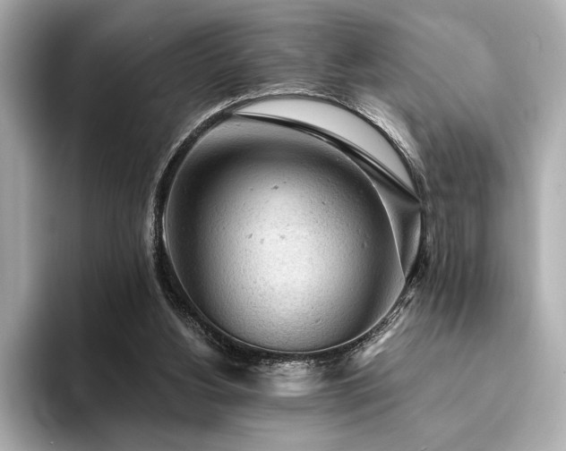 X0000094380156200711021232