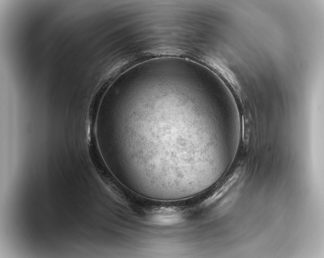 X0000094380157200711021232