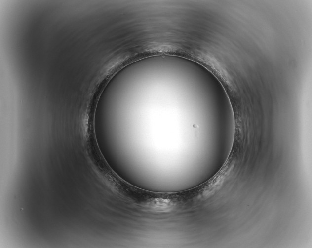 X0000094380159200711021232