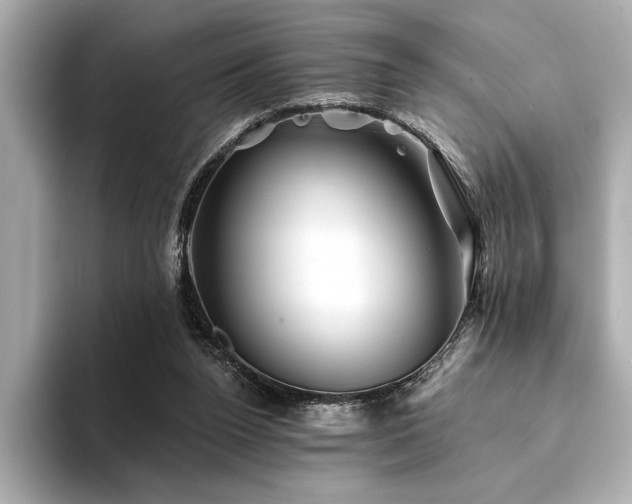 X0000094380160200711021232