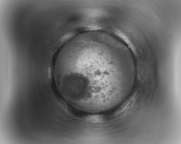 X0000094380161200711021232