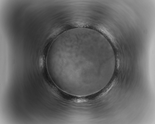X0000094380165200711021232