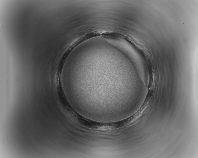 X0000094380168200711021232
