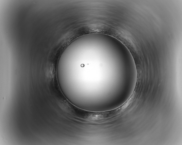 X0000094380174200711021232