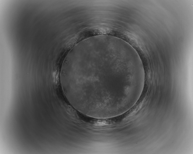 X0000094380177200711021232