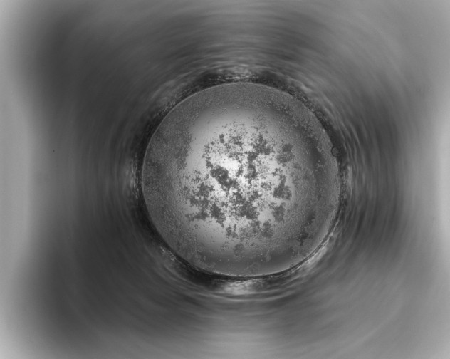 X0000094380178200711021232