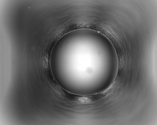 X0000094380183200711021233