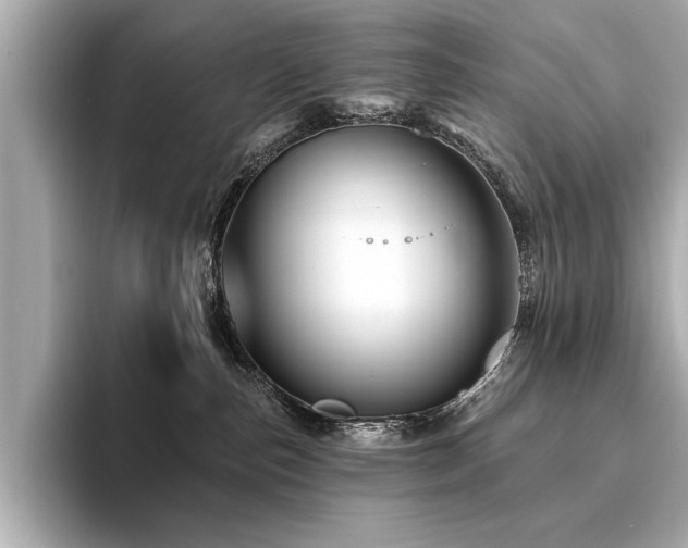 X0000094380187200711021233