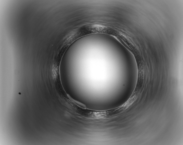 X0000094380188200711021233