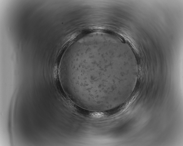 X0000094380189200711021233