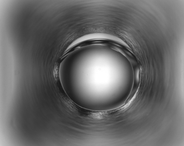 X0000094380190200711021233
