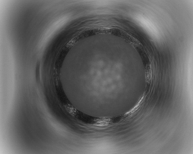 X0000094380191200711021233