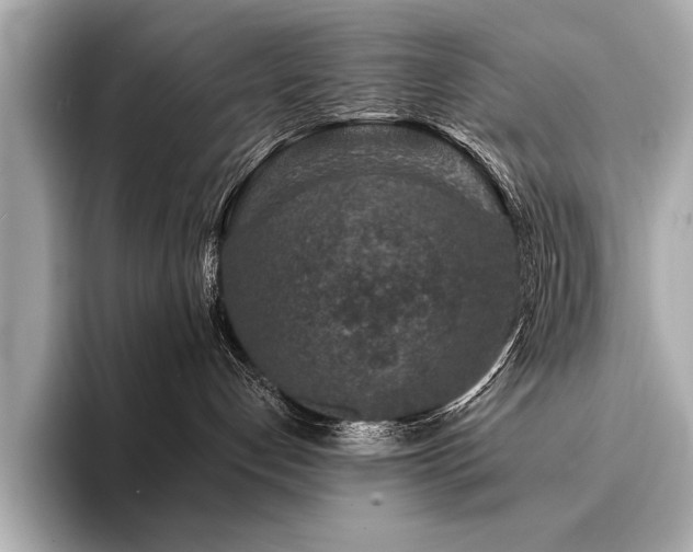 X0000094380192200711021233