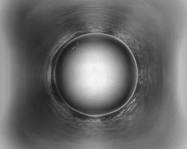 X0000094380194200711021232