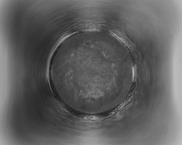 X0000094380195200711021232