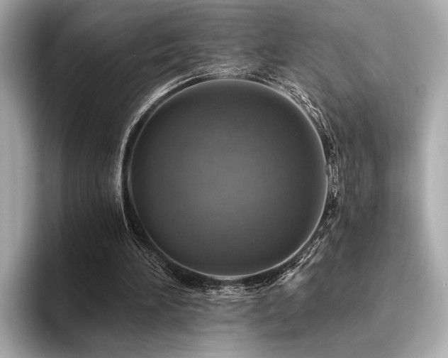 X0000094380196200711021232