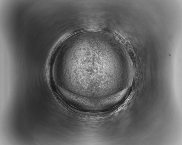 X0000094380197200711021232