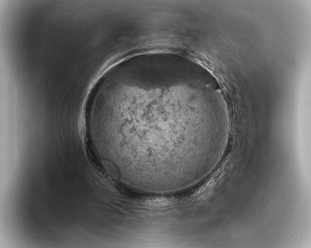 X0000094380198200711021232