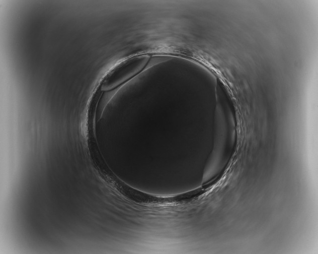 X0000094380200200711021232