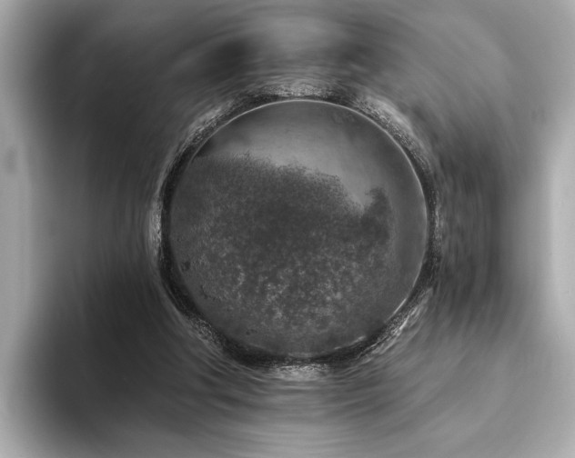 X0000094380202200711021232