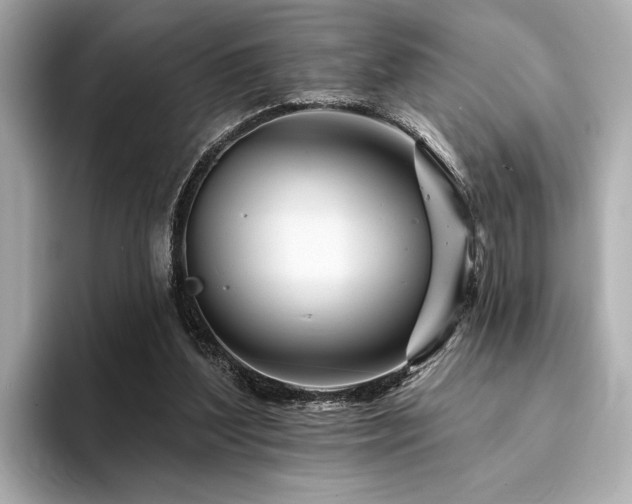 X0000094380204200711021232