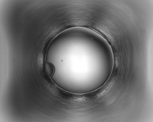 X0000094380206200711021232