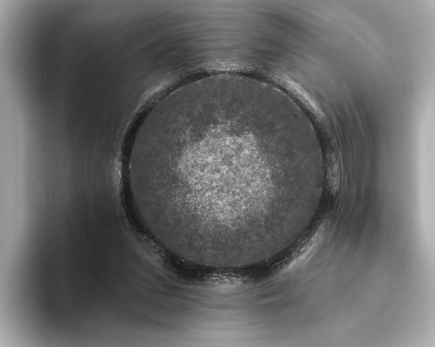 X0000094380207200711021232