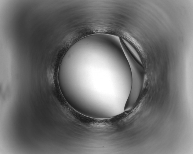 X0000094380209200711021232