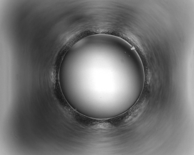 X0000094380210200711021232