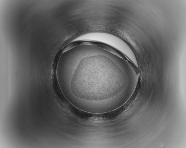 X0000094380211200711021232