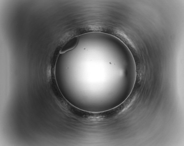 X0000094380213200711021232