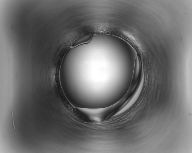 X0000094380217200711021232
