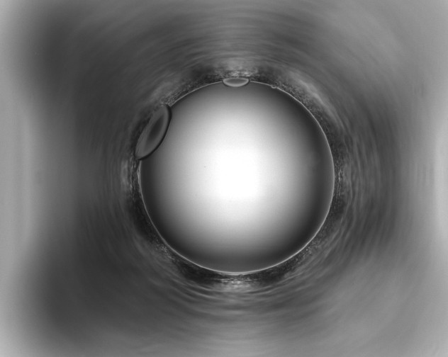 X0000094380218200711021232