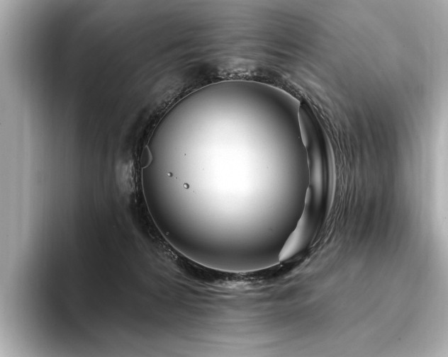 X0000094380224200711021232