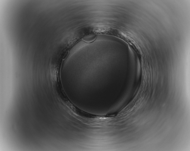 X0000094380227200711021232