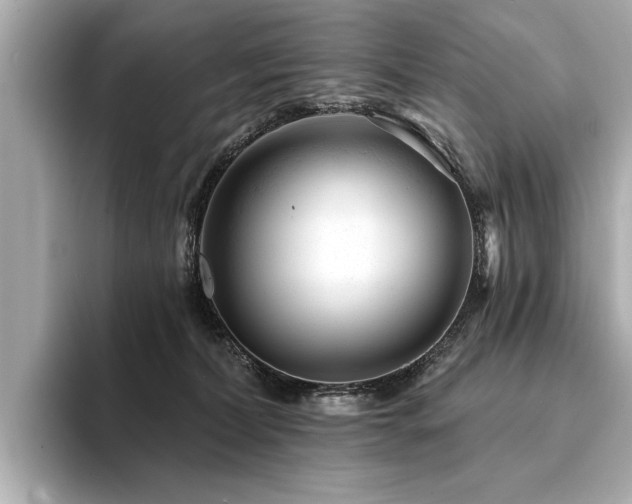 X0000094380228200711021232